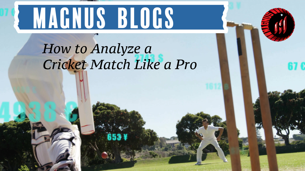 How to Analyze a Cricket Match Like a Pro