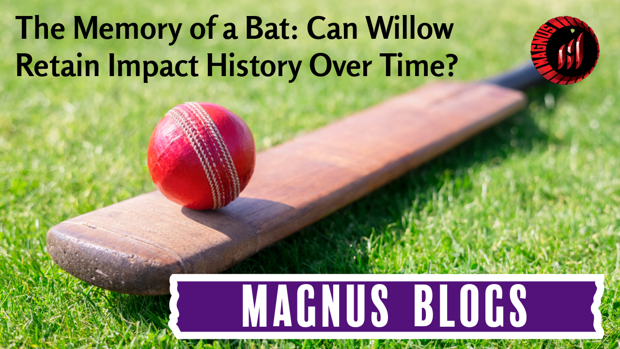 The Memory of a Bat: Can Willow Retain Impact History Over Time?