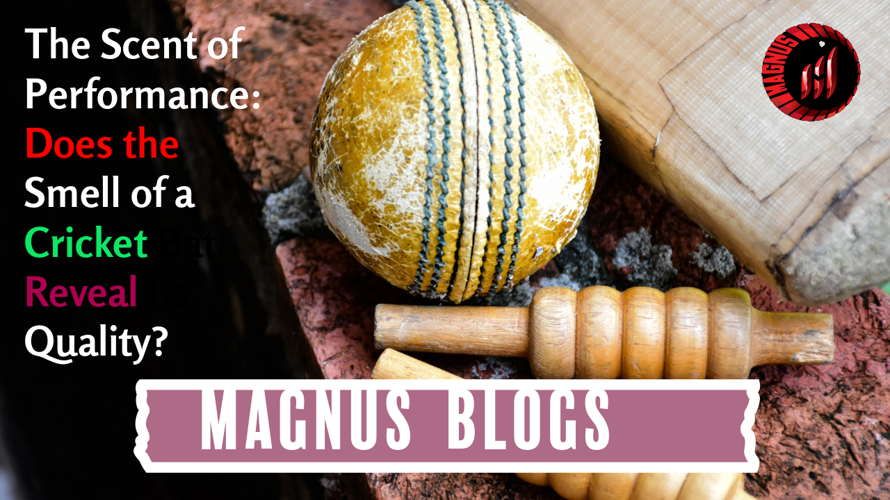 The Scent of Performance: Does the Smell of a Cricket Bat Reveal Its Quality?