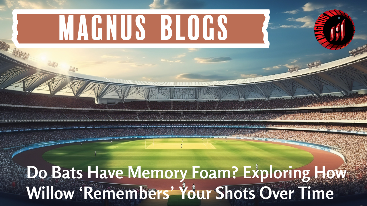 Do Bats Have Memory Foam? Exploring How Willow ‘Remembers’ Your Shots Over Time