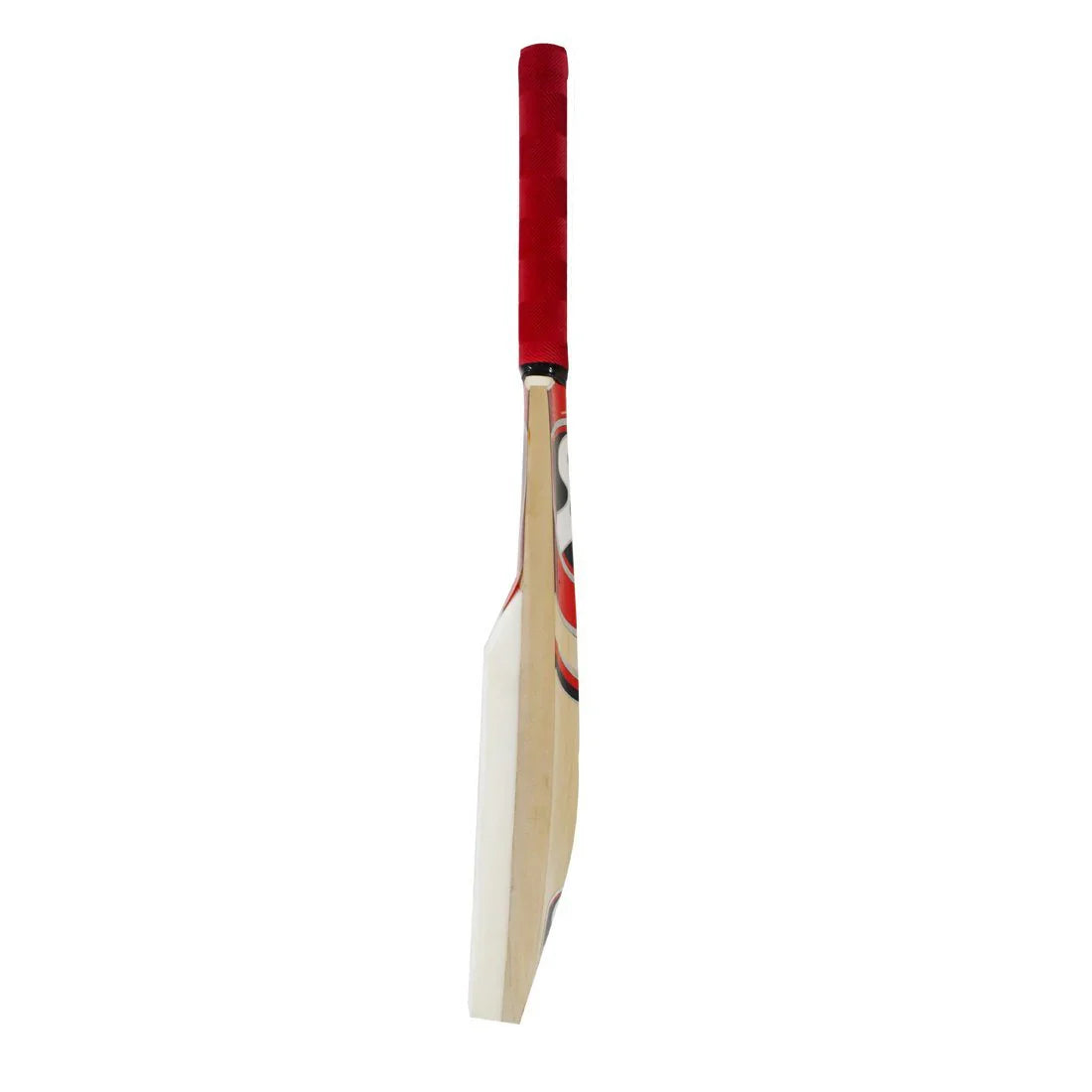 SG Catch Practice Bat