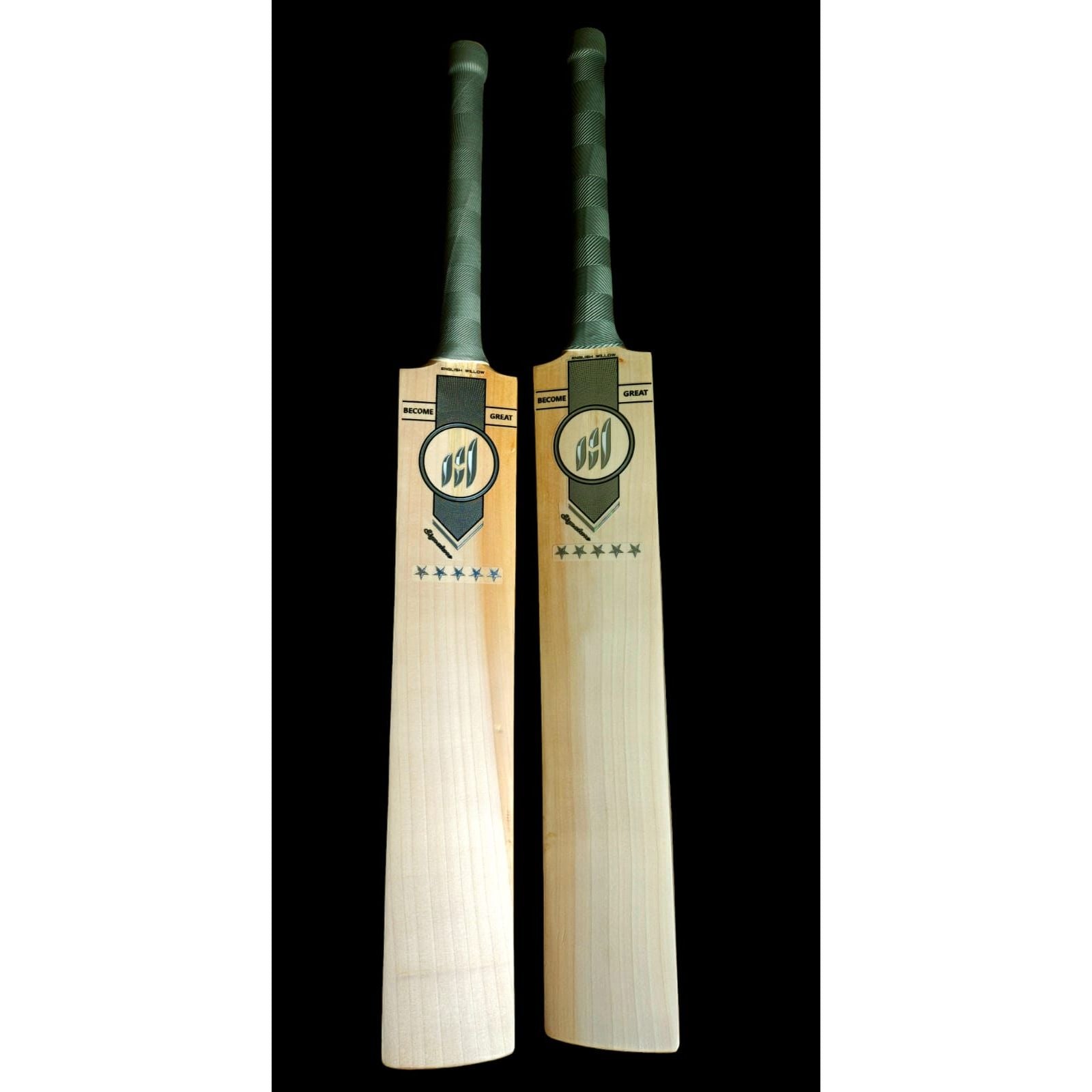 Magnus Signature English Willow Bat - Short Handle
