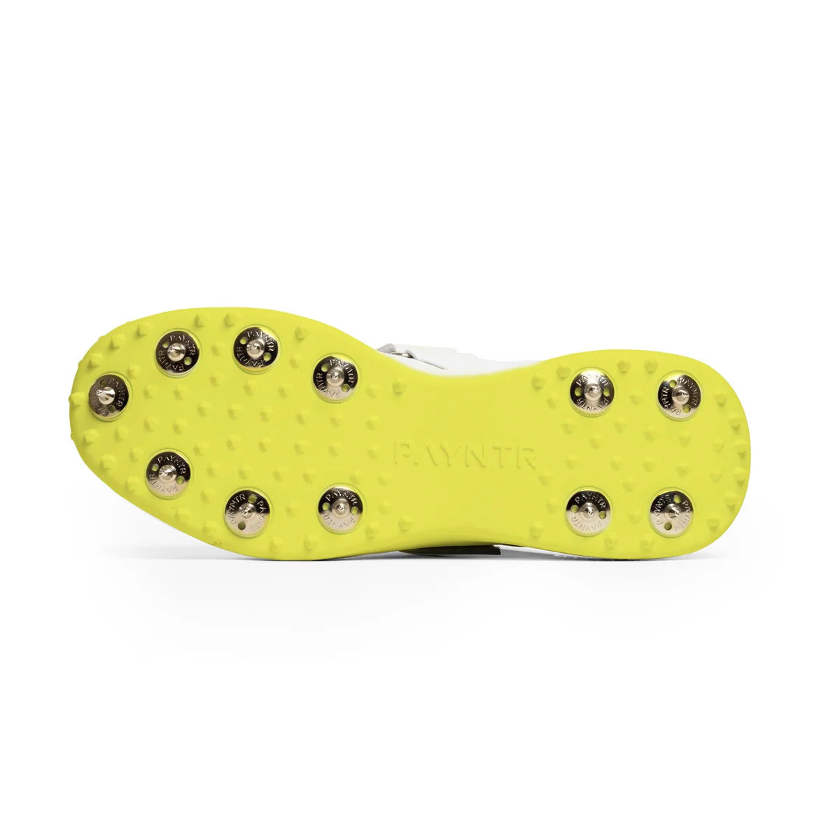 Payntr X Bowling SPIKE (White & Blue) Cricket Shoes