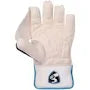 SG RSD Xtreme Cricket Wicket Keeper Gloves