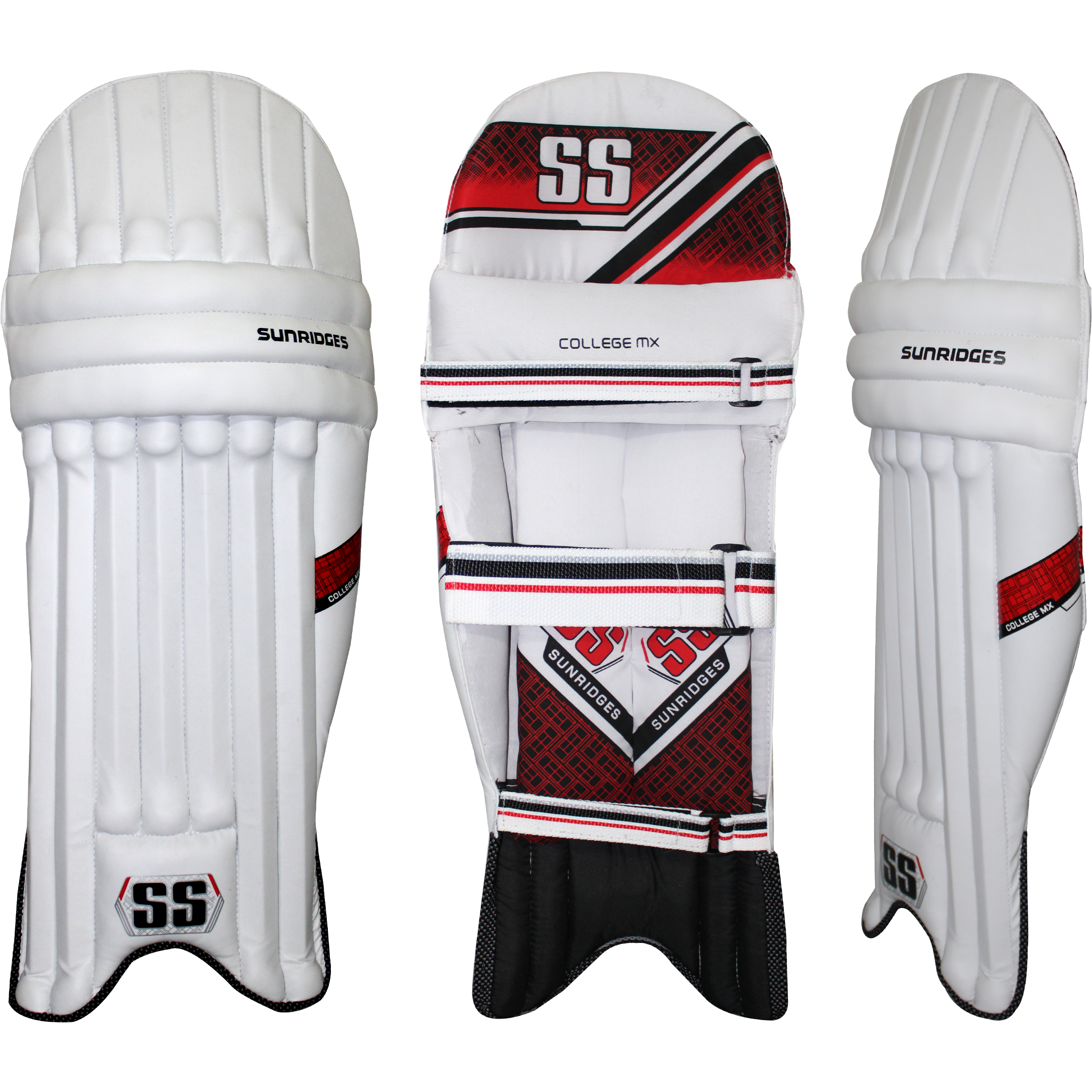 SS CollegeMX - Magnus Cricket