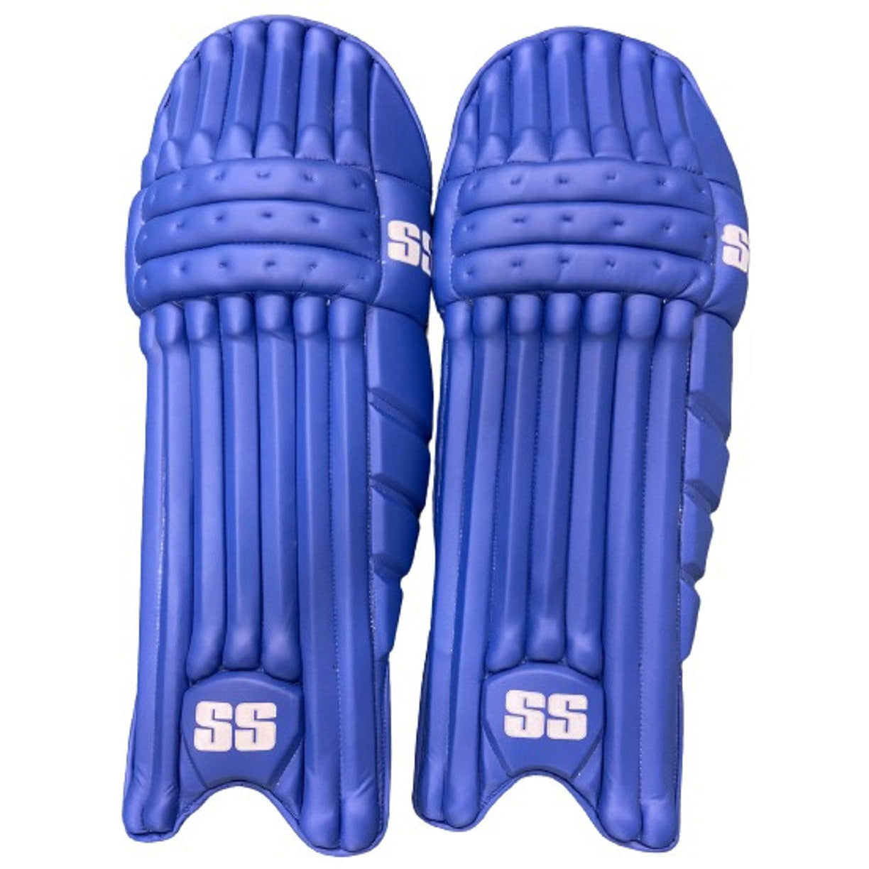 SS CollegeMX - Magnus Cricket