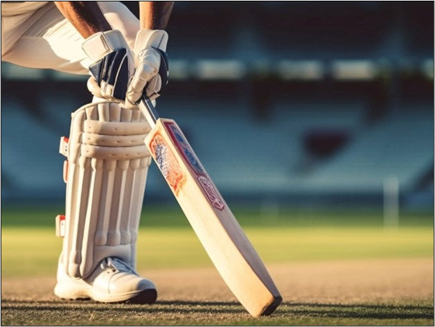 The evolution of cricket bats over the decades