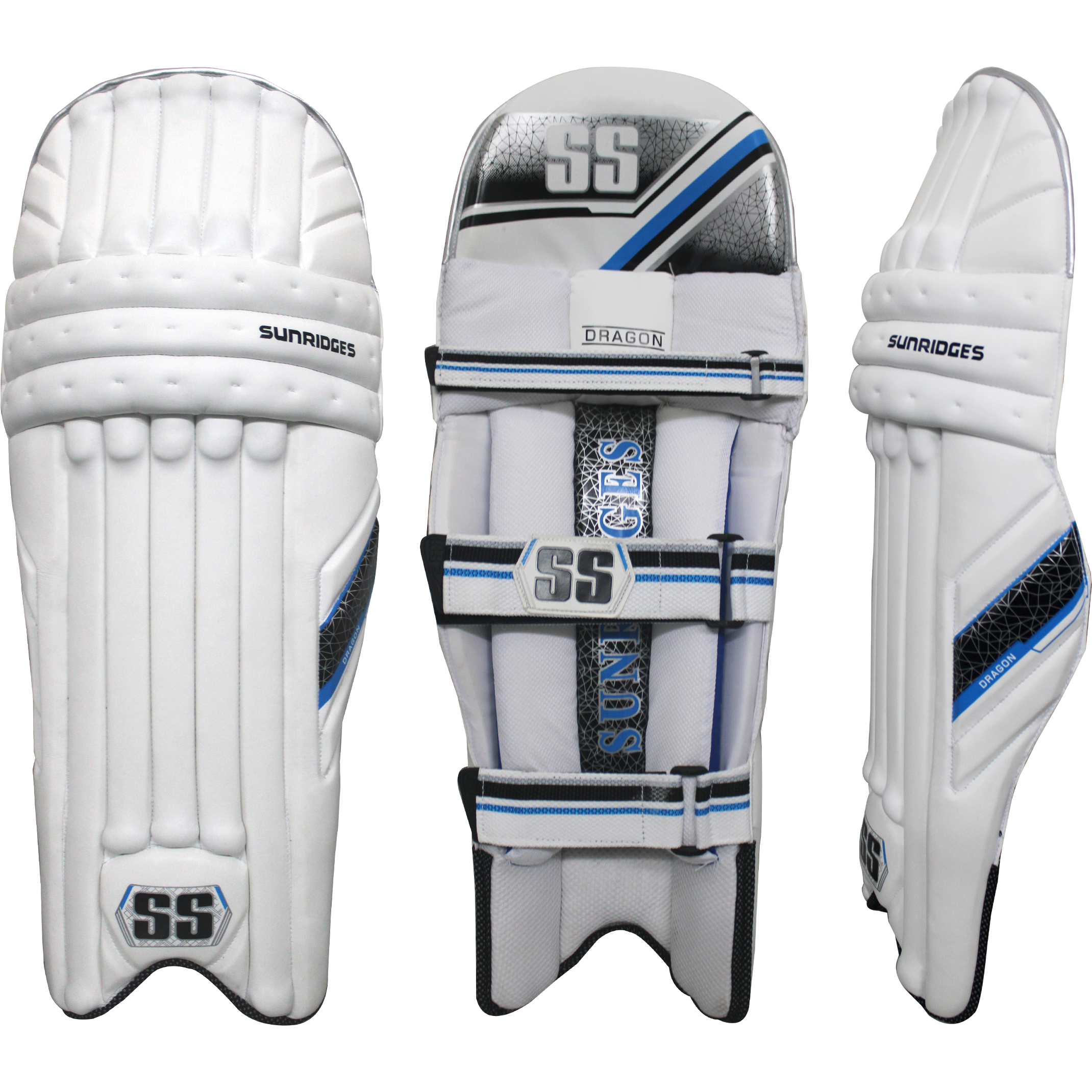 SS Dragon - Magnus Cricket