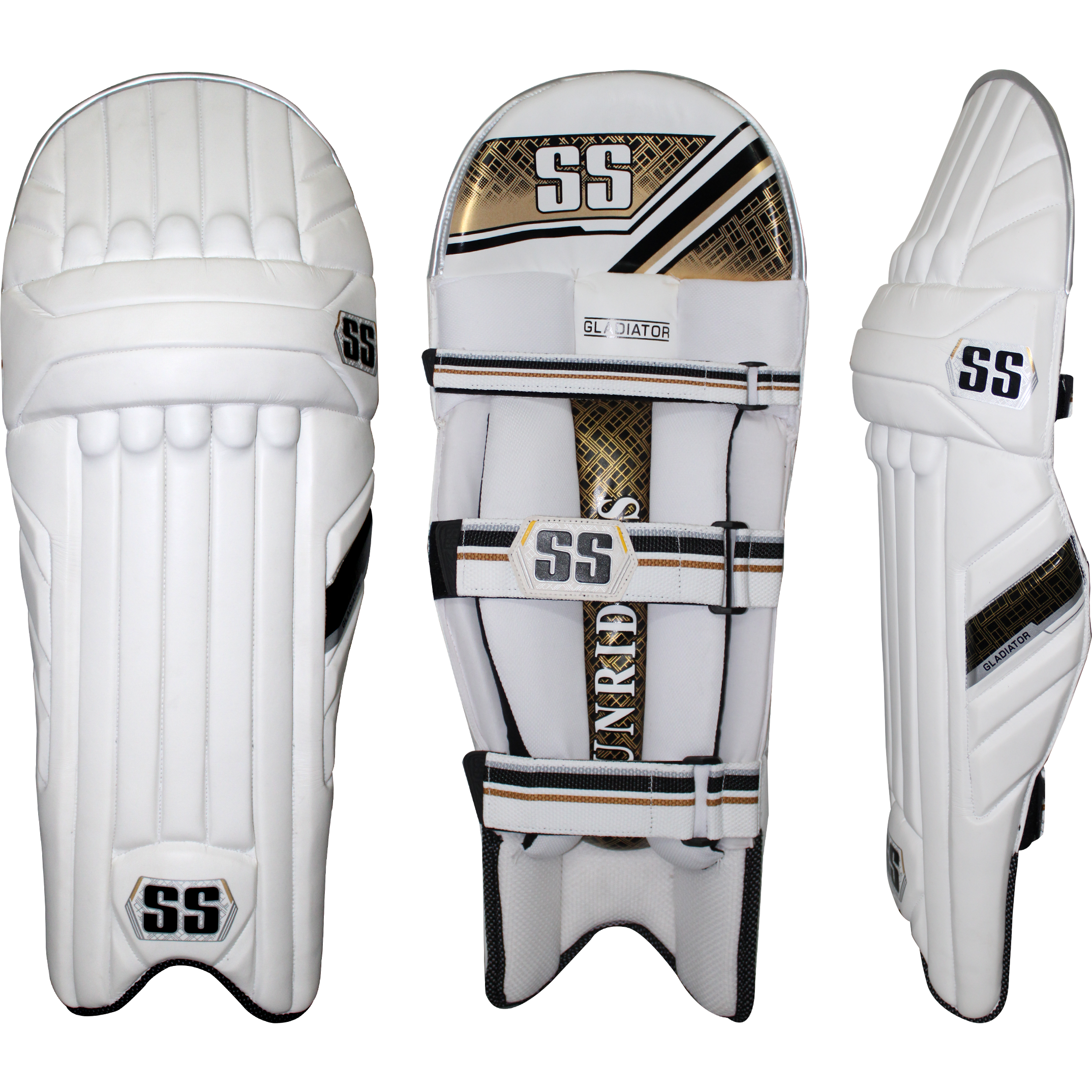SS Gladiator - Magnus Cricket