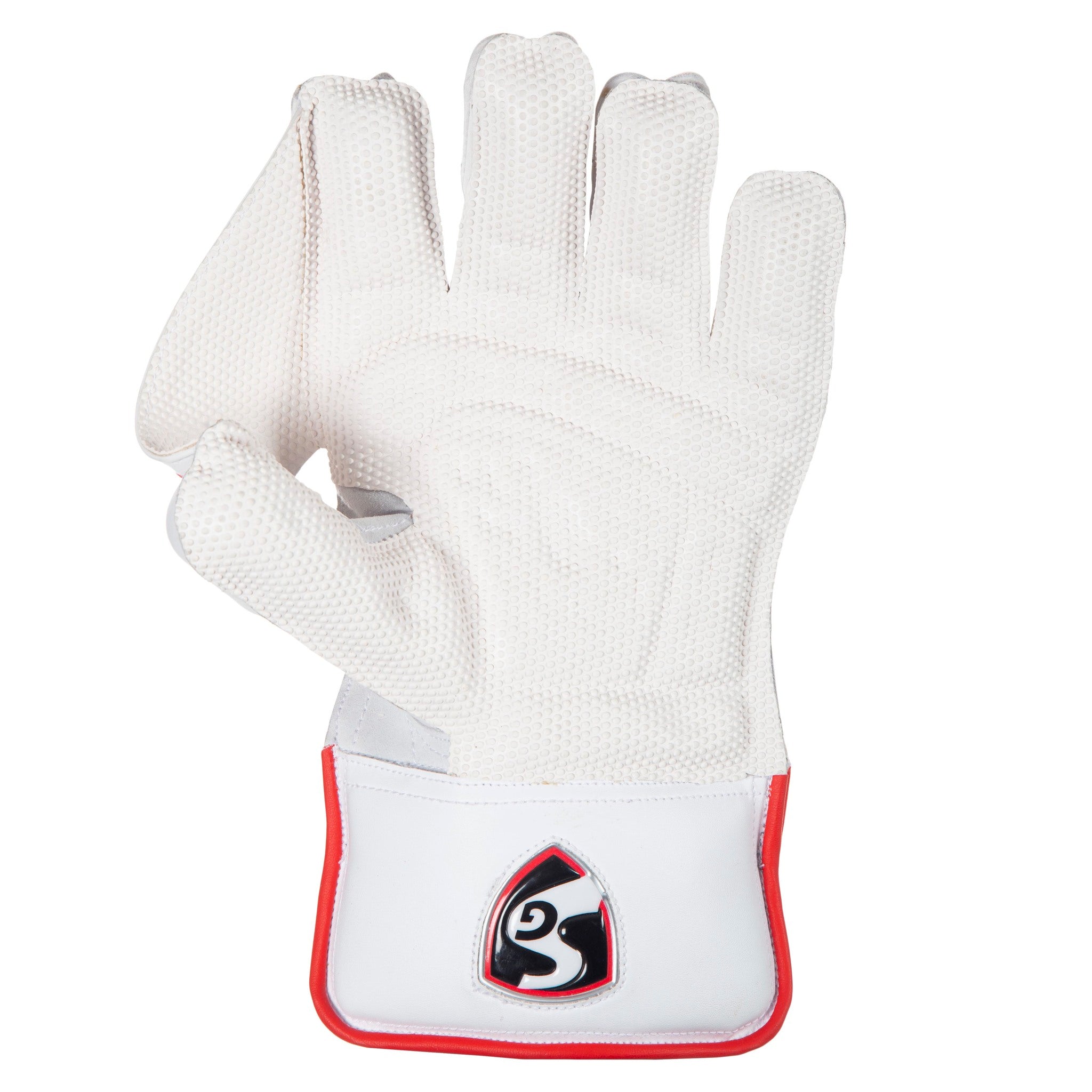 SG Super Club - Magnus Cricket